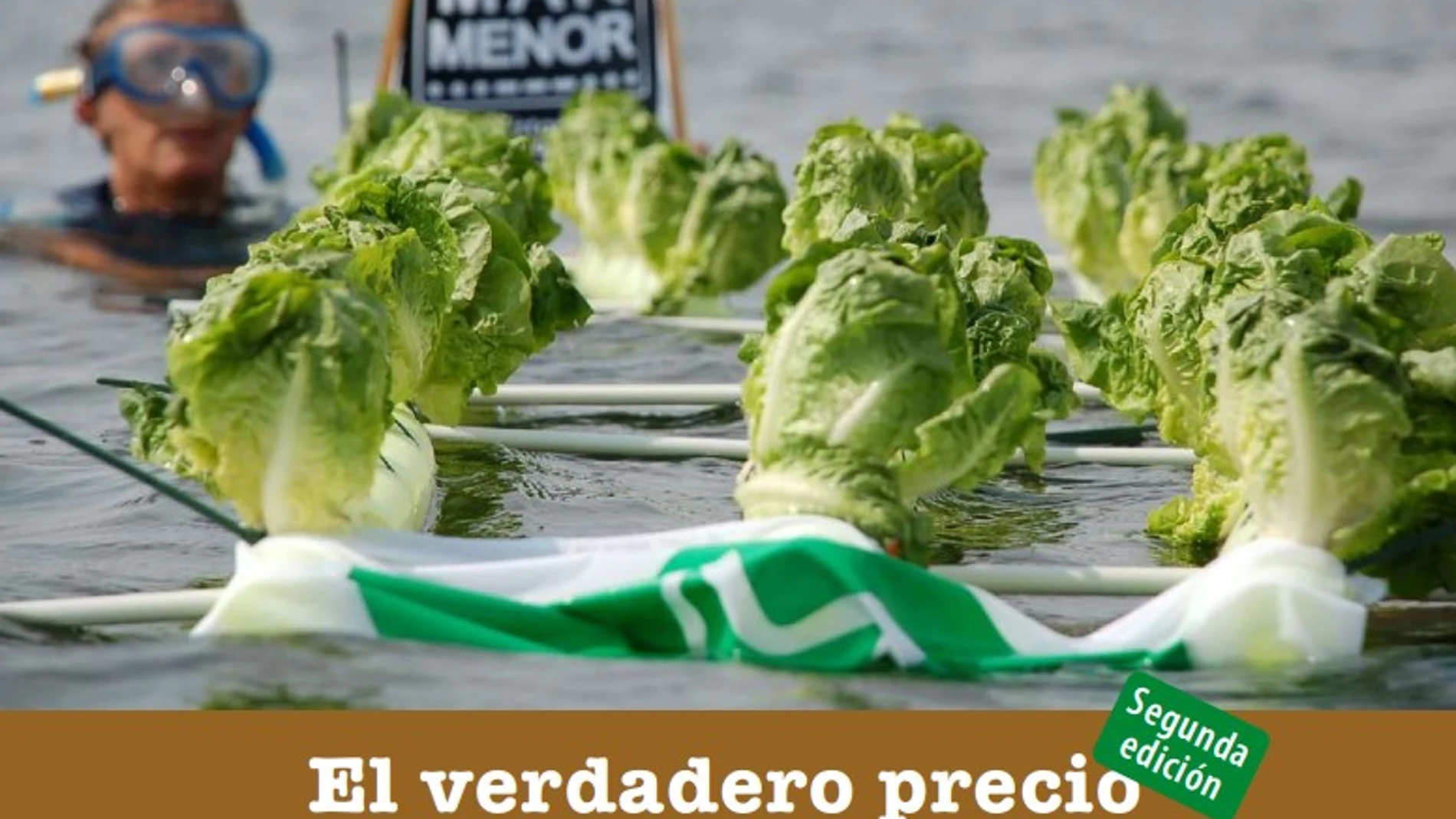 Imagen del informe en el que se basa la exposición retirada del Parlamento Europeo