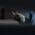 Estos son los ofensivos toros de Fuente Ymbro para la tercera de San Isidro
