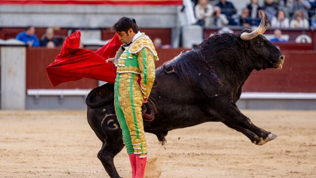 Corrida de toros con reses de Fuente Ymbro para los diestros Miguel Ángel Perera, Paco Ureña y Ginés Marín.