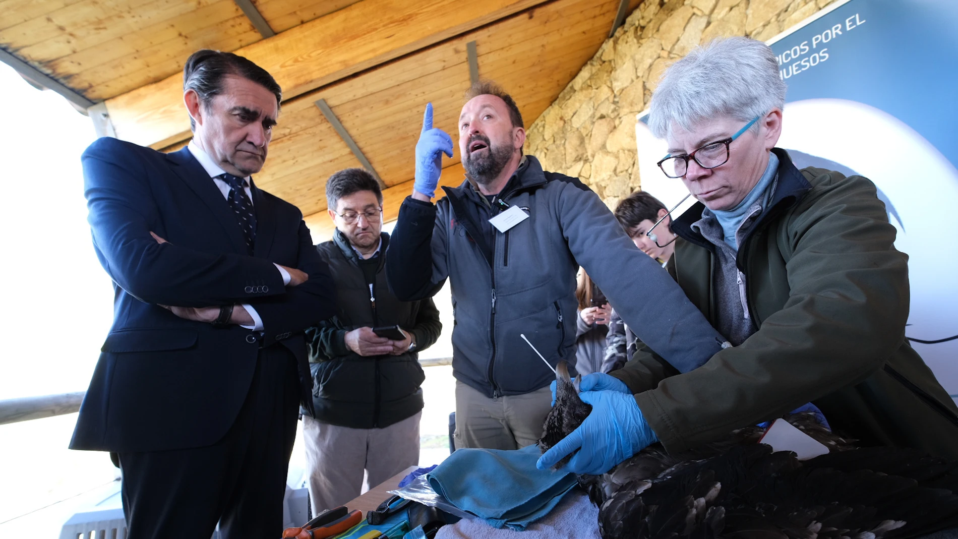 El consejero de Medio Ambiente, Juan Carlos Suárez-Quiñones, observa a uno de los ejemplares del quebrantahuesos