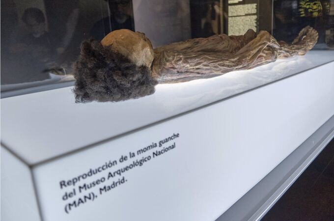 Más de 14.700 restos humanos se alojan en los almacenes de los Museos Estatales del Ministerio de Cultura