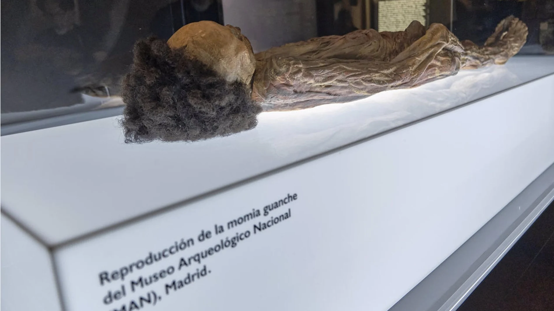 Más de 14.700 restos humanos se alojan en los almacenes de los Museos Estatales del Ministerio de Cultura