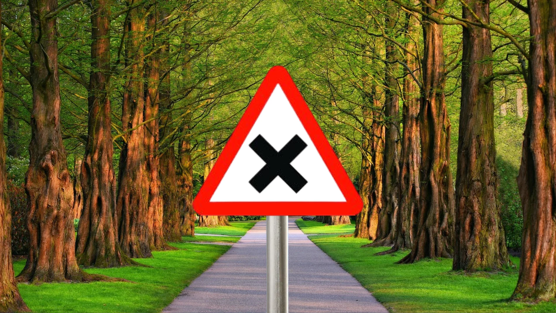 ¿Qué significa esta señal? Pocos conductores la conocen