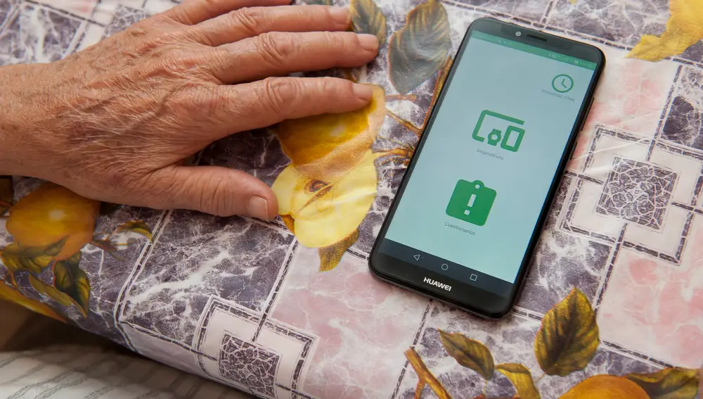 La aplicación desarrollada en el marco del proyecto