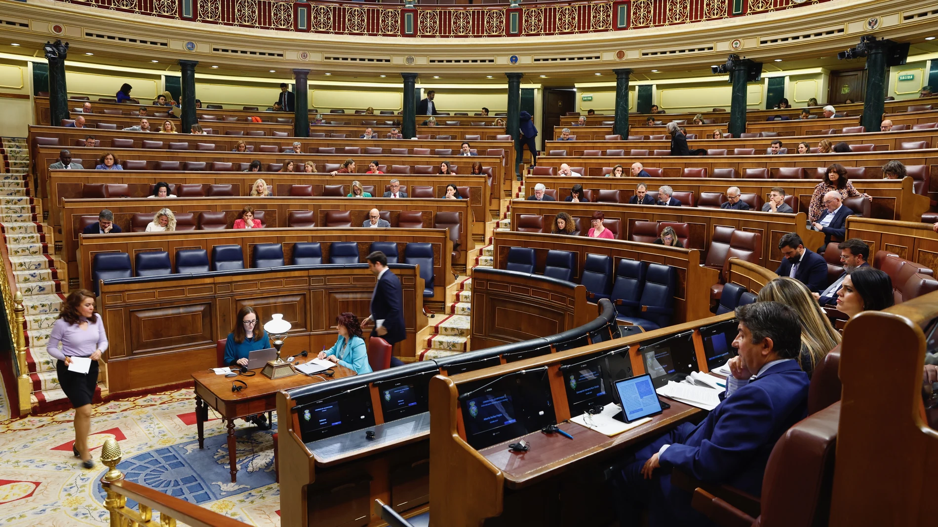 Pleno en el Congreso de los Diputados.