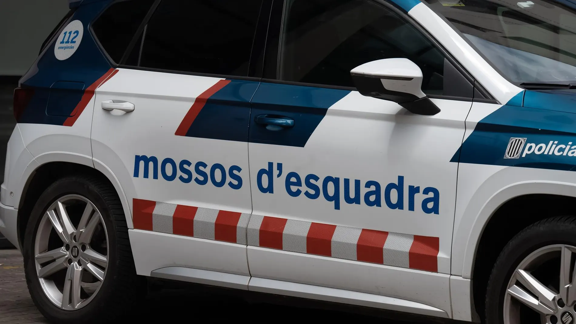 Sucesos.-Los Mossos desmantelan un cultivo de marihuana con más de 1.000 plantas en Barcelona y detienen a tres personas