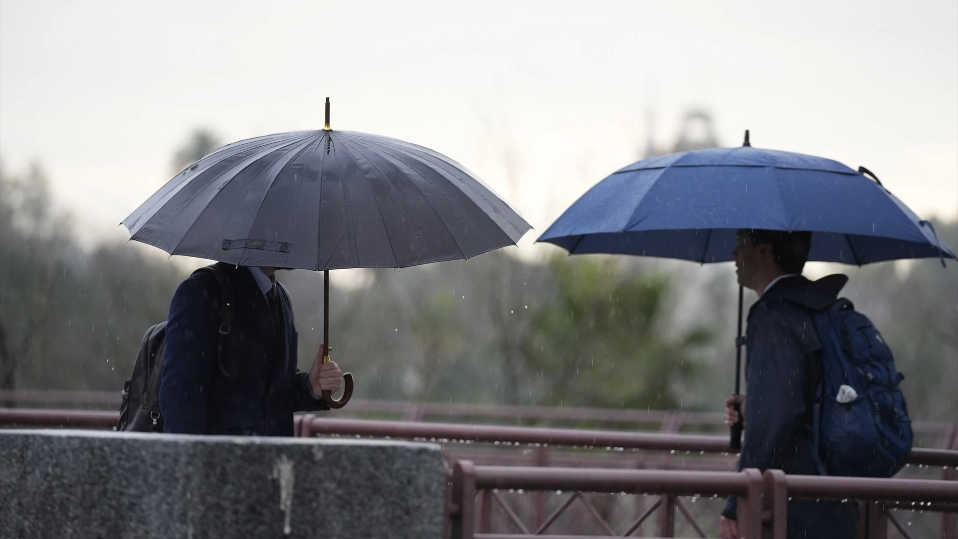 Aviso amarillo en estas provincias andaluzas por lluvias y granizo, según la Aemet