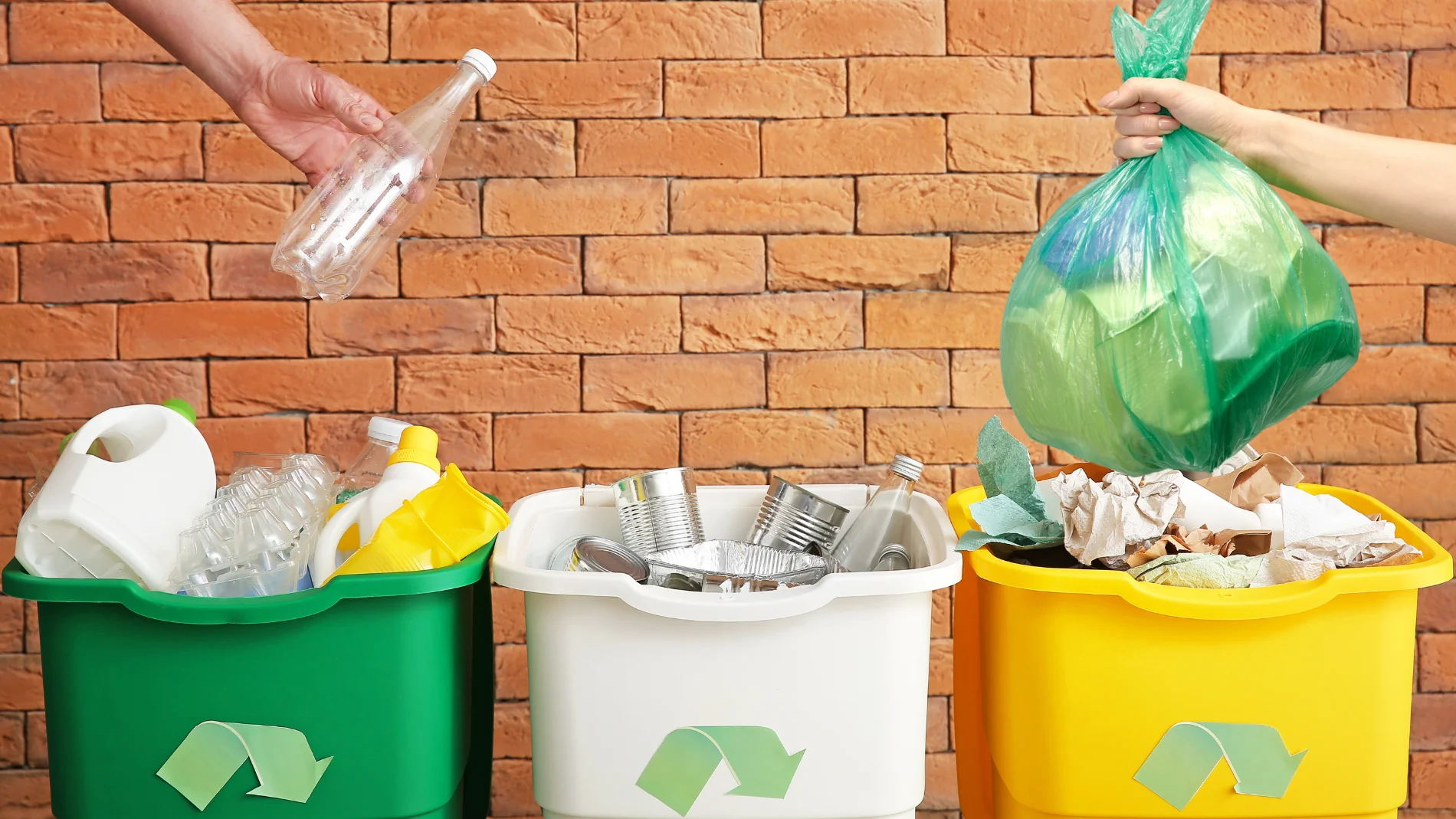 ¿Es mejor tirar la basura suelta o dentro de una bolsa? Esta es la respuesta correcta