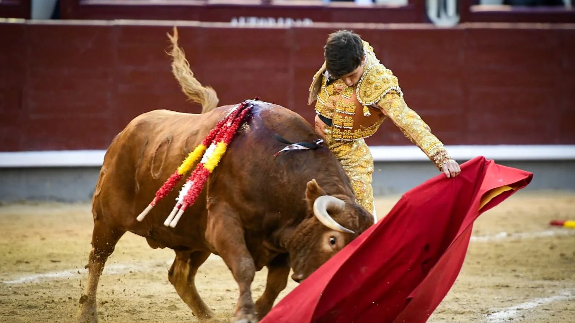 Gran muletazo de Aarón Palacio