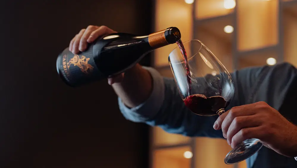 Vinos de Zaragoza