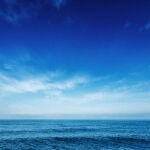 Los científicos dan la alarma tras la aparición de un peligroso invasor en el Mediterráneo