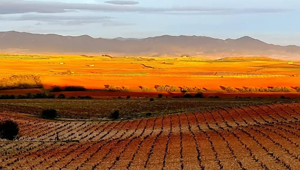Hacienda Molleda