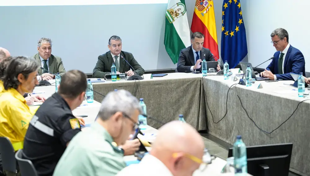Antonio Sanz, presidiendo la reunión del Comité Asesor del Plan Infoca