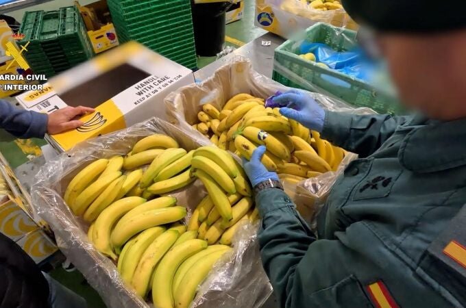 Alicante.- Sucesos.- Investigada una empresa de Alicante por vender banana como si fuera Plátano de Canarias