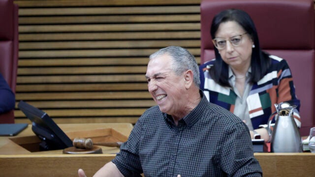 El síndico de Compromís defiende su propuesta en Les Corts Valencianes