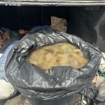 Sorprendidos con 30 kilos de anémonas en Albuñol cuando el límite son 20 kilos y con autorización