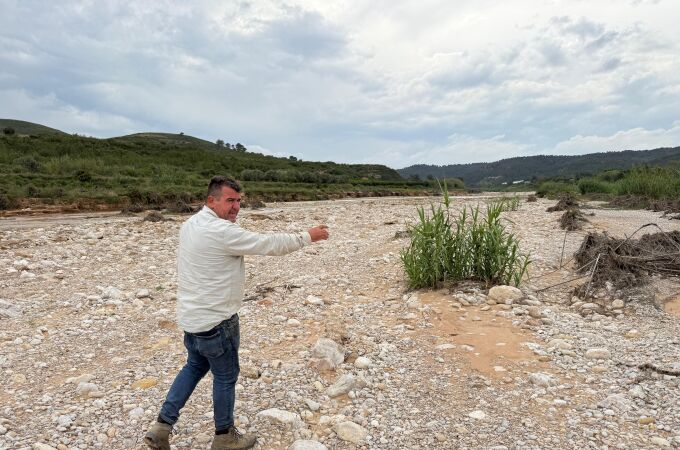 El agricultor Enrique Grau camina por lo que antes era su campo de caquis en Turís (Valencia)