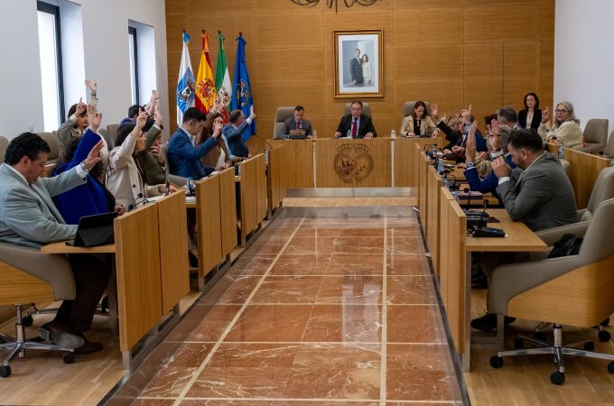 Pleno de la Diputación de Huelva
