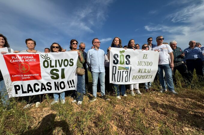 Manifestación contra la eliminación de olivos para instalar placas solares