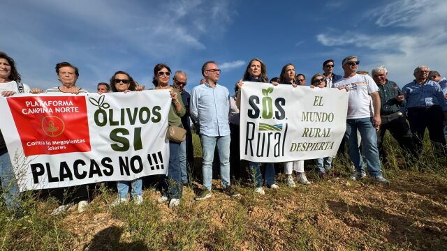 Manifestación contra la eliminación de olivos para instalar placas solares