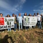 Manifestación contra la eliminación de olivos para instalar placas solares
