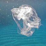 Avalanchas submarinas arrastran masas de microplásticos a gran profundidad