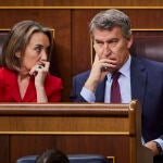 Sesión de control parlamentario al Gobierno en el Congreso de los Diputados. Comparece el presidente del gobie