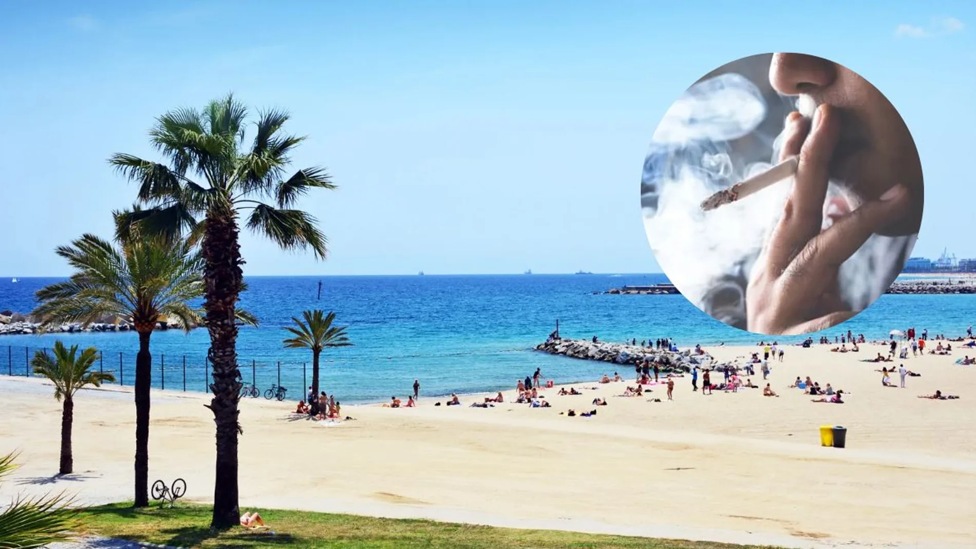 Playa de la Barceloneta