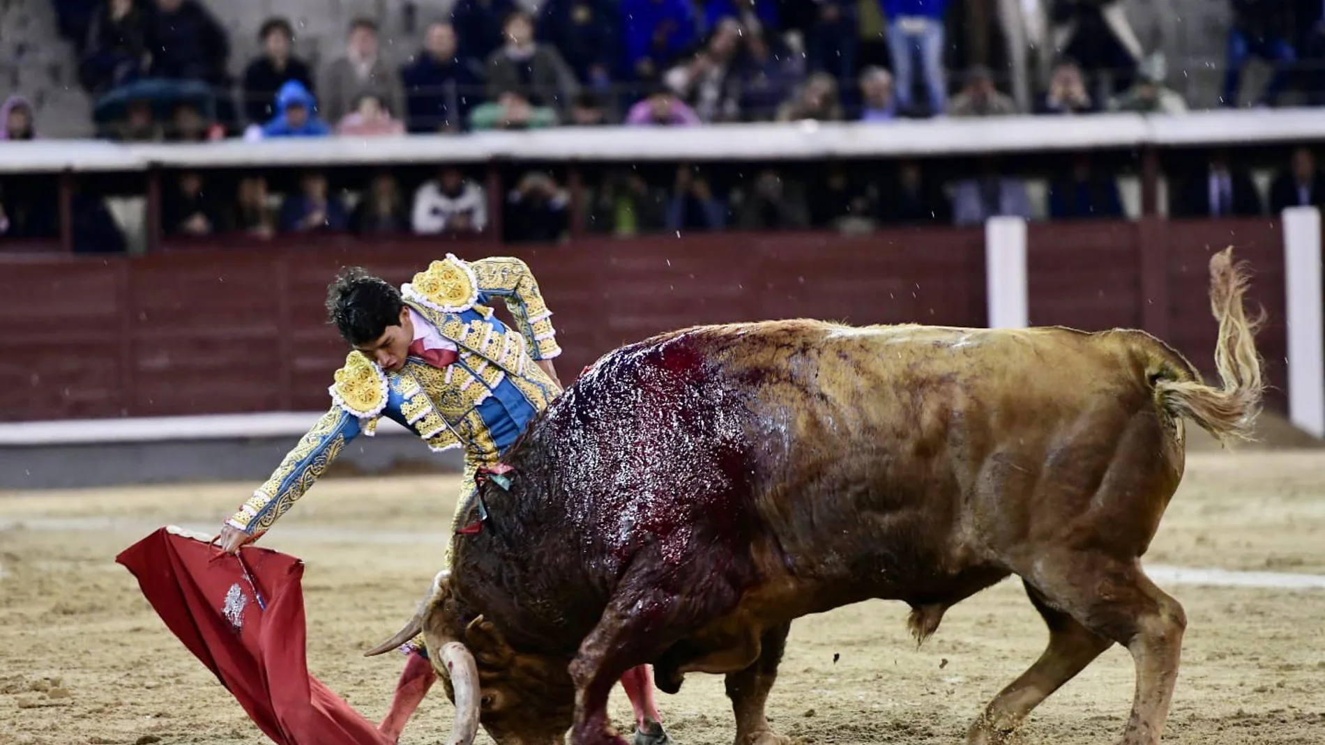 La verdad de Fonseca y 667 kilos de milagro de Pedraza de Yeltes