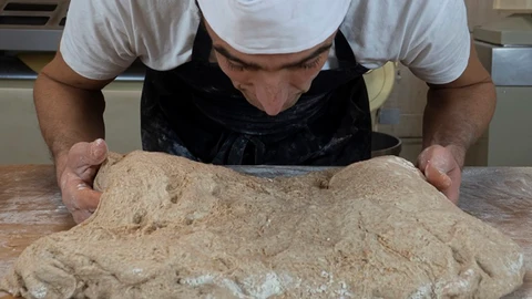 Panadería Salazar: tradición panadera en el corazón de Frómista