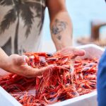 Economía.- El Ministerio de Agricultura, Pesca y Alimentación fija los topes de captura de gamba roja en el Mediterráneo