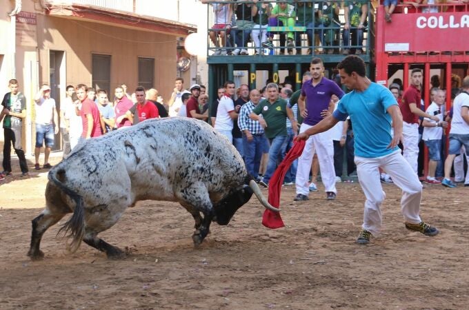 À Punt apuesta por los bous al carrer y retransmite este sábado la desencajonada en Almassora