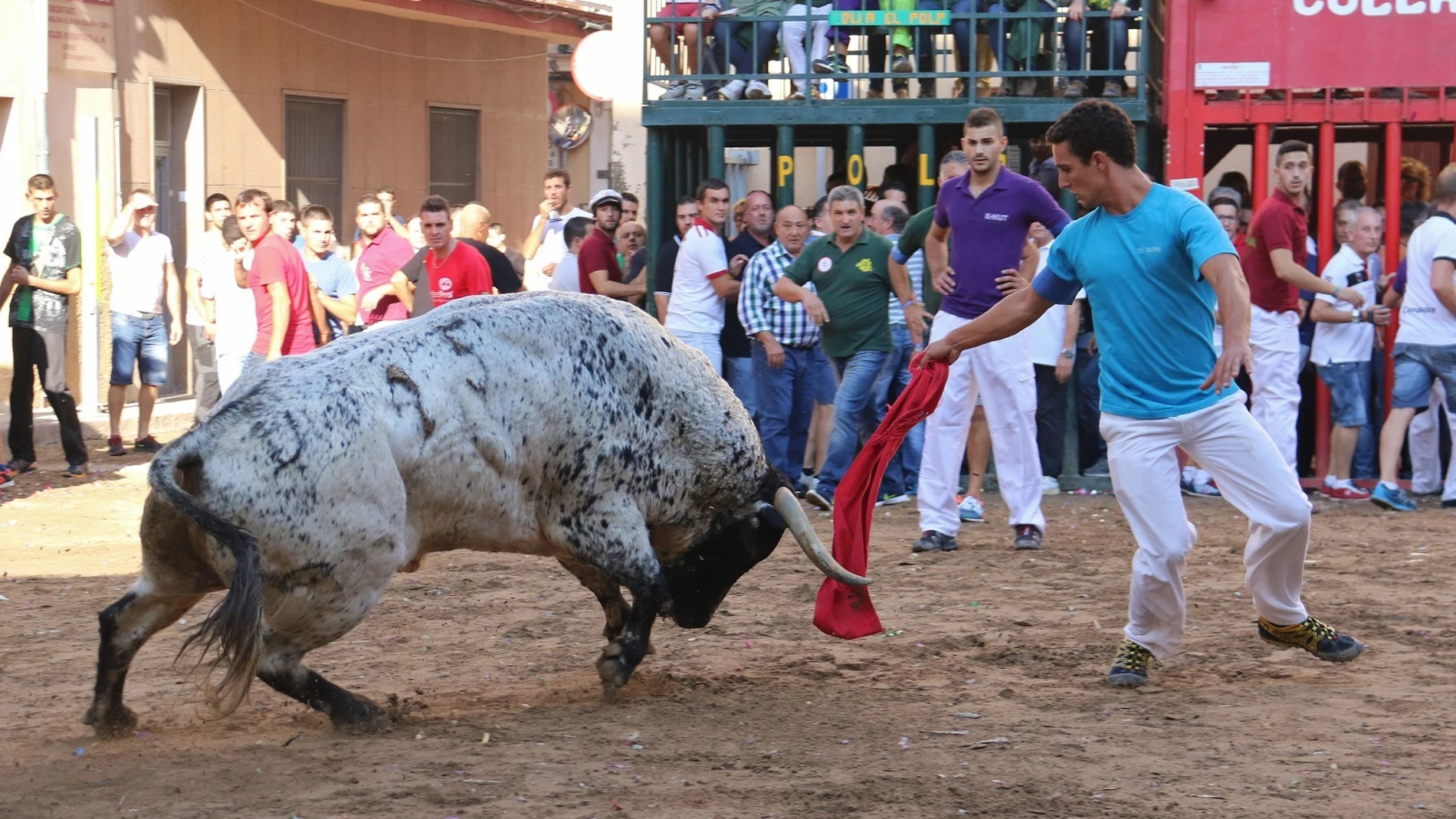 À Punt apuesta por los bous al carrer y retransmite este sábado la desencajonada en Almassora