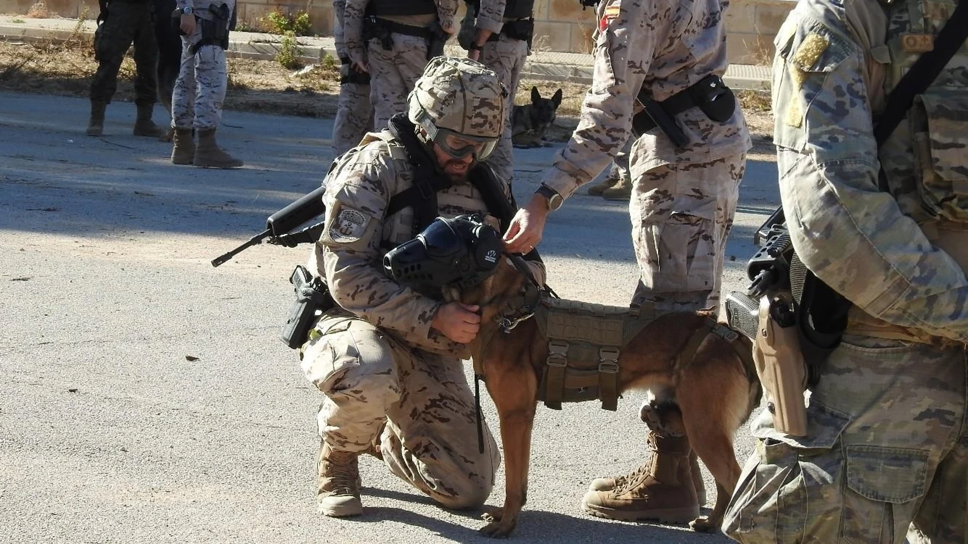 Equipos cinológicos de Infantería de Marina de la Armada.