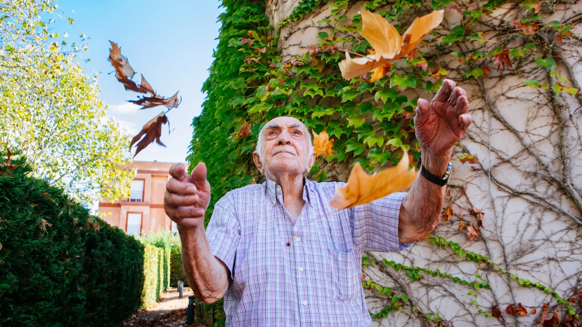 "Recuerdos de otoño" fotografía de Jorge René, es la imagen reconocida con el primer premio del concurso "La mirada del paciente"