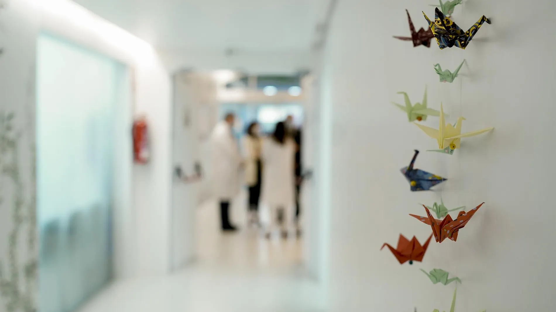MADRID.-El Hospital Niño Jesús participa en una investigación pionera que estudia el origen de la obesidad infantil