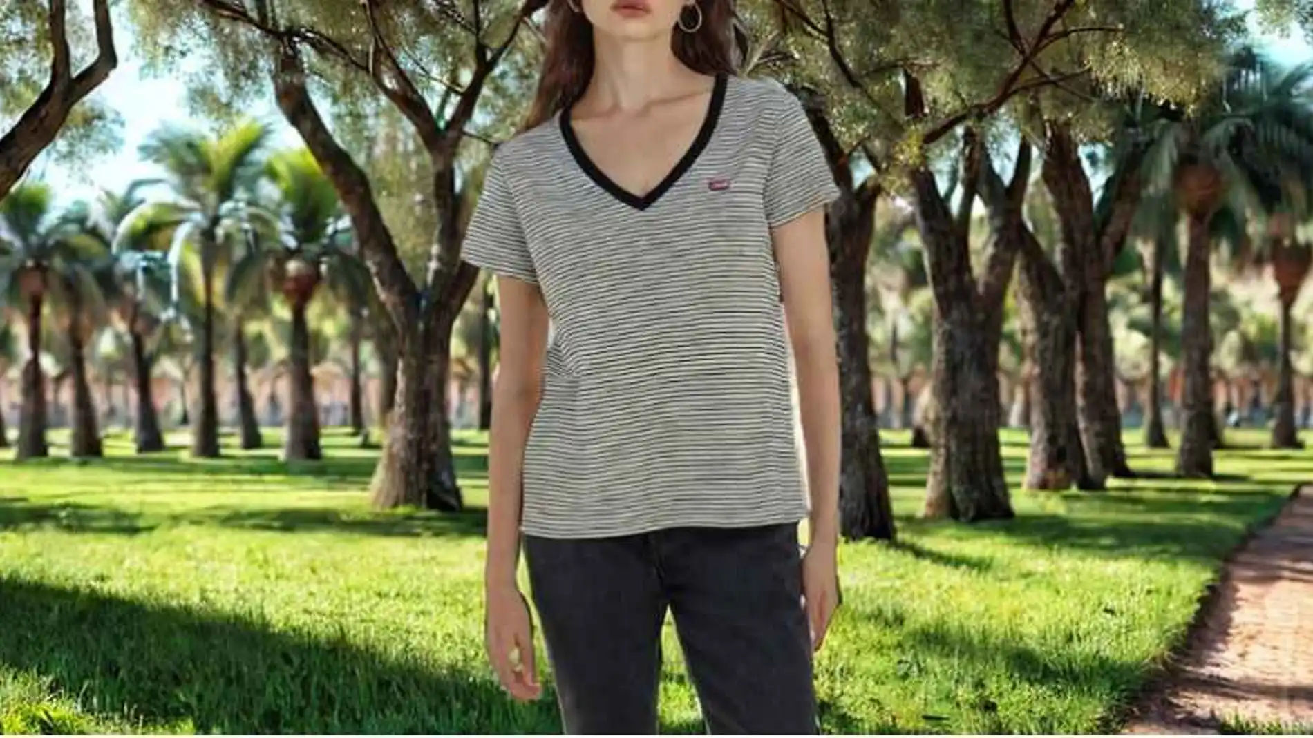 Levi’s The V-Neck