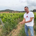 José Ibáñez muestra uno de los campos de vid con las cañas que se esparcen sin control