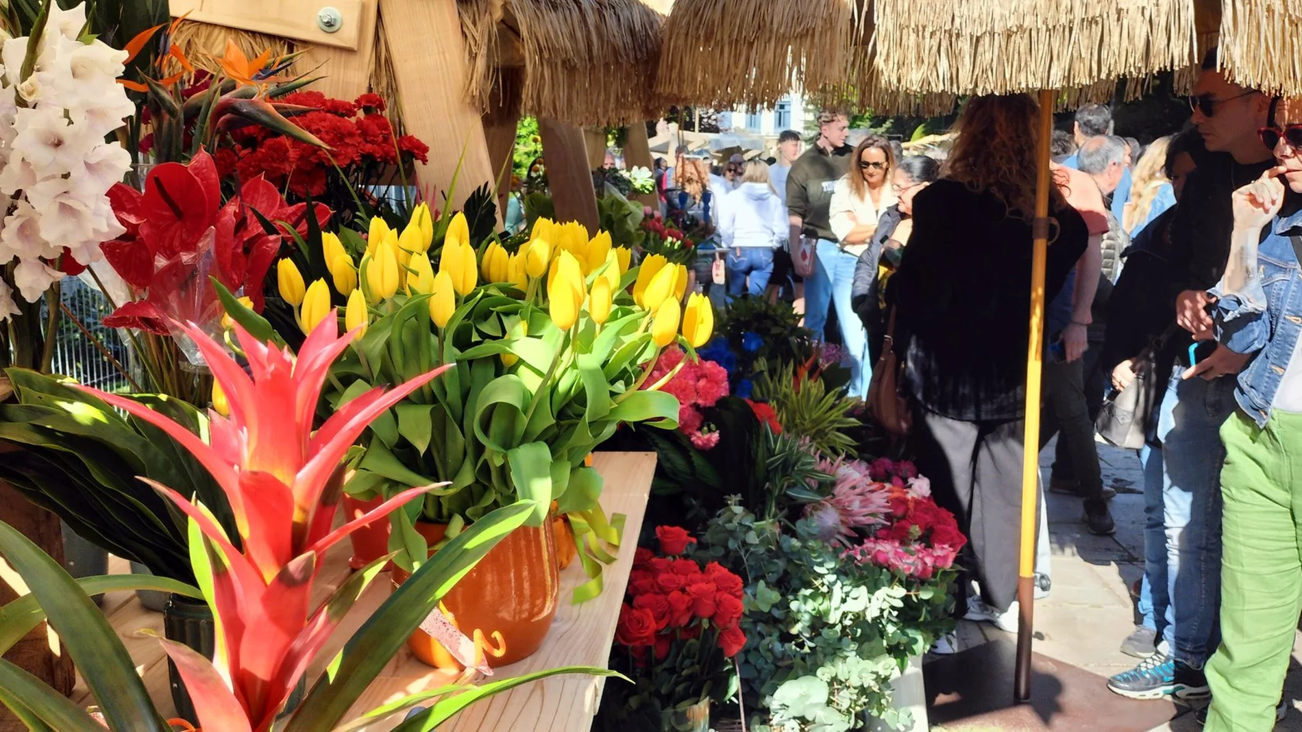 Burgos da la bienvenida a su XI Fiesta de las Flores