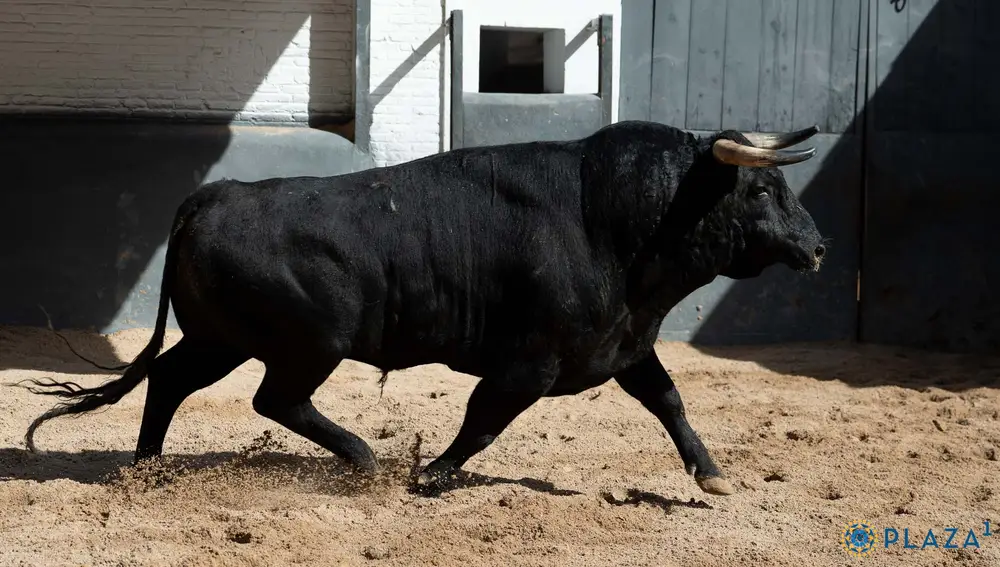 "Ladrillero", nº 37