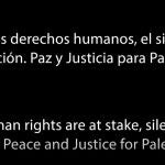 El Gobierno desafía a la organización de Eurovisión y RTVE comienza el especial con un alegato en favor de Palestina