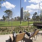 Fútbol/Champions.- El parque Glòries de Barcelona tendrá una pantalla para la final de la Champions femenina el día 24