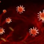 Concepto de virus biología abstracta antecedentes corona virus covid19 bajo el microscopio. Concepto de virus biología abstracta antecedentes corona virus covid19 bajo el microscopicoinfección pandémica por coronavirus chino