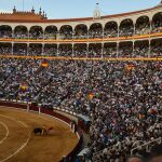 Las Ventas llena cada tarde
