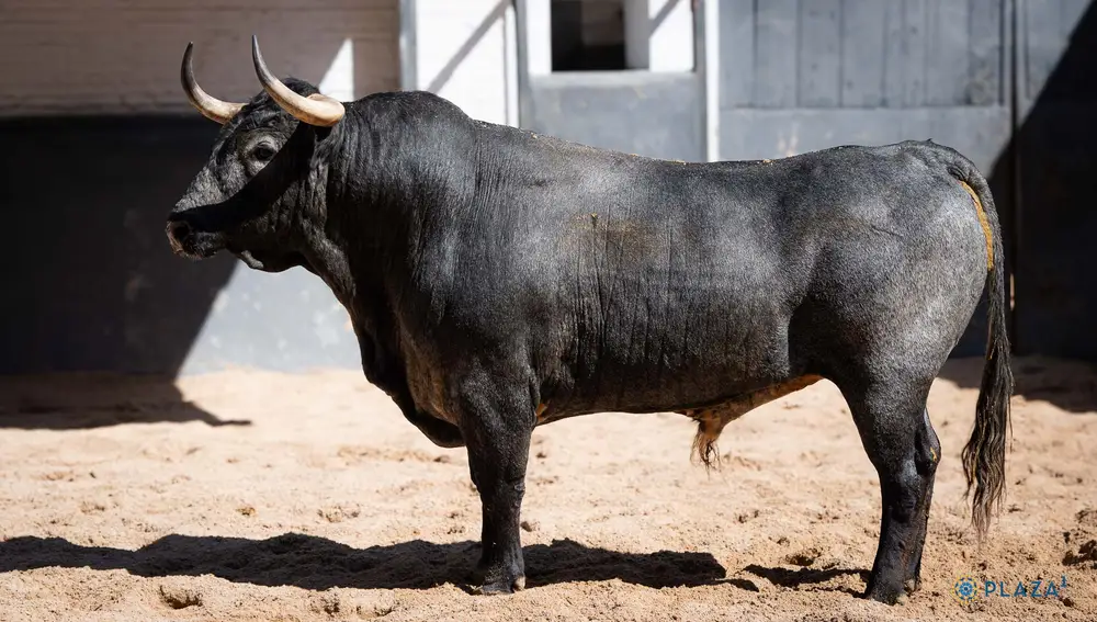 "Rabioso", nº 75,