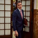 Pedro Sánchez, en el Congreso de los Diputados