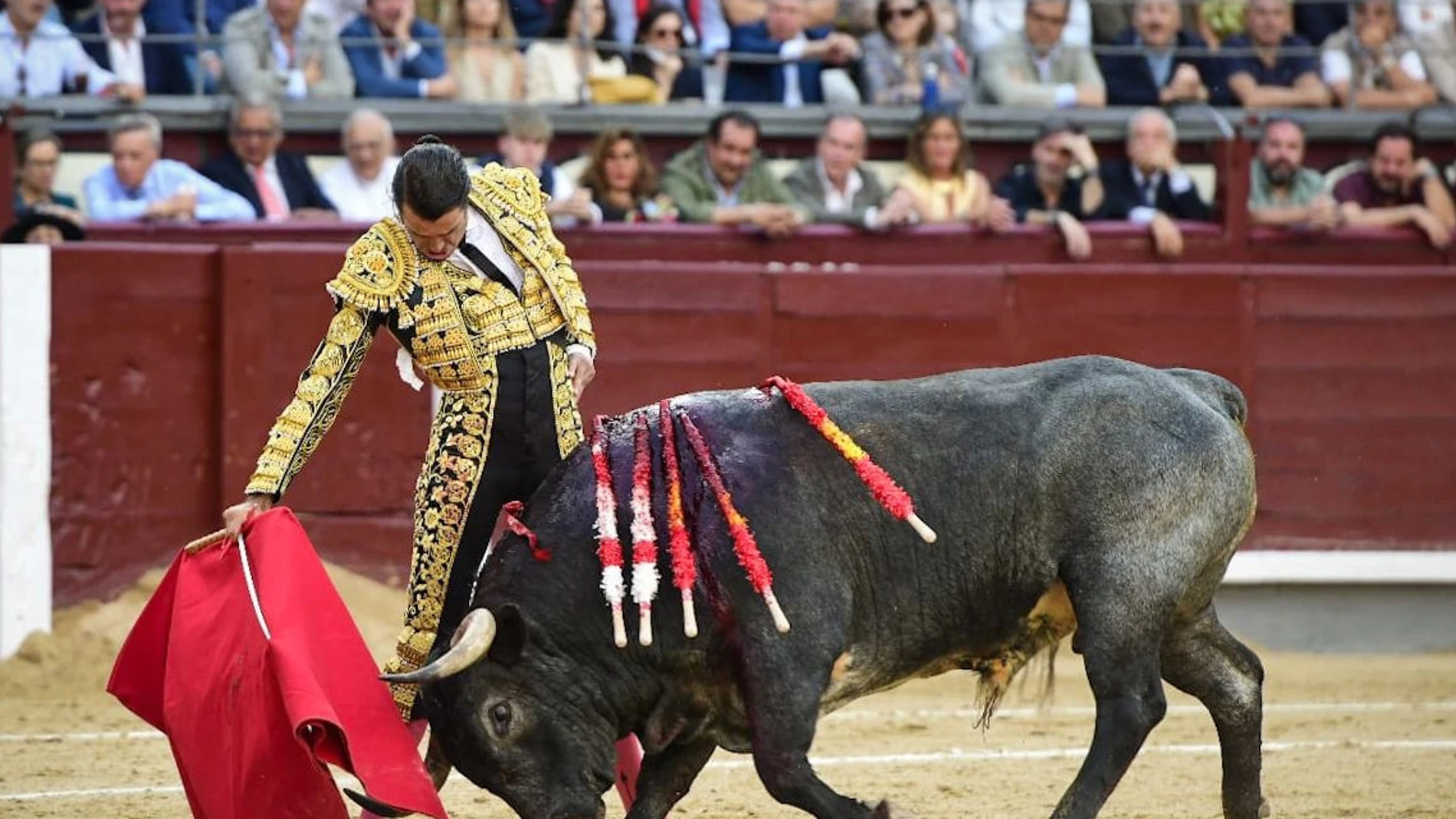 El diestro Uceda Leal.