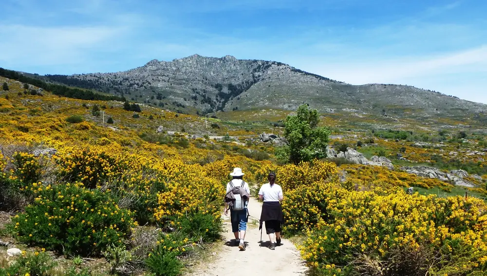 Ruta Cambrono, Sierra Norte de Madrid