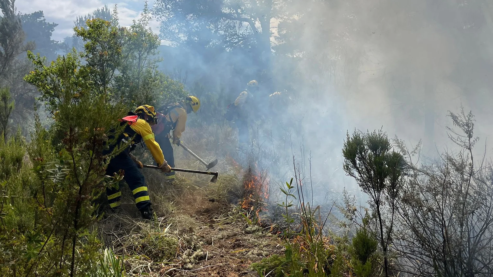 Incendio en Gran Canaria