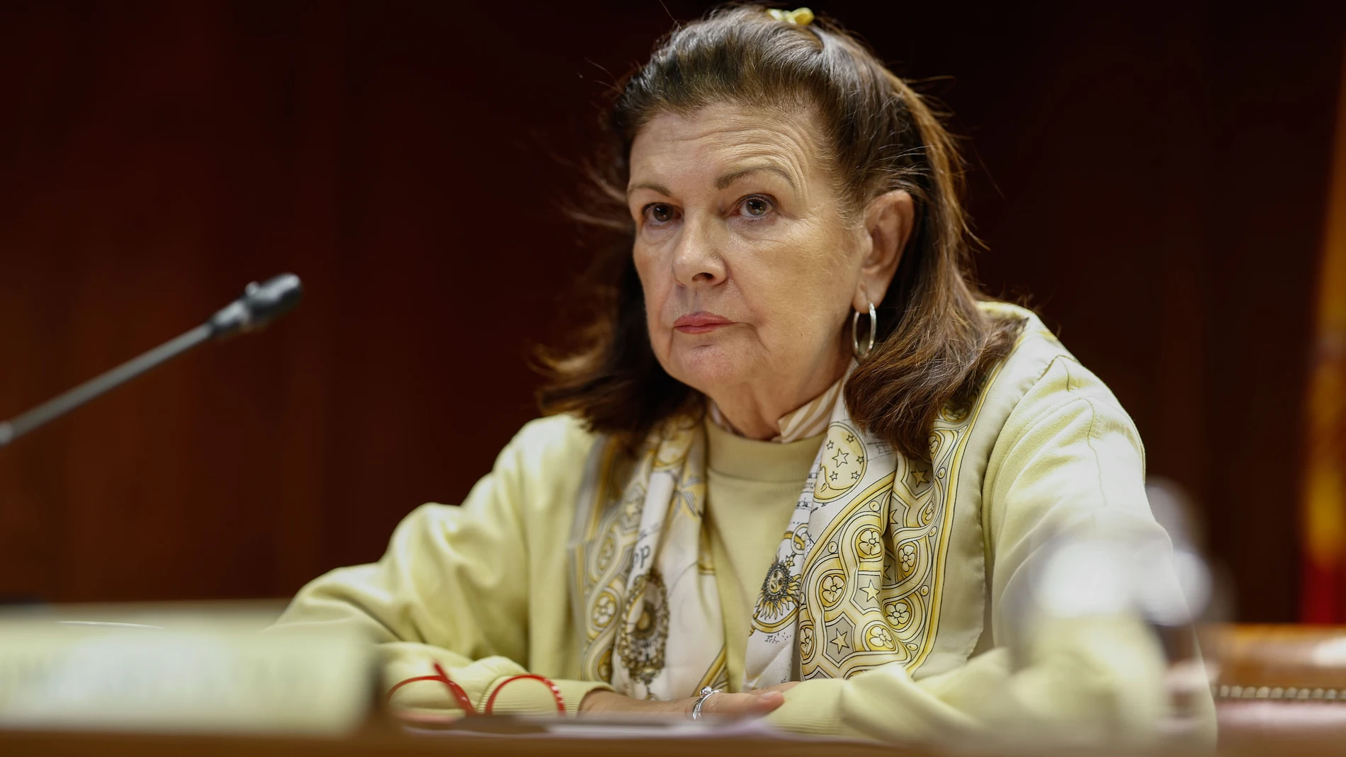 MADRID, 19/05/2025.- Carmen Librero, expresidenta de Ineco, comparece en la comisión de investigación del Senado sobre el caso Koldo este lunes, en Madrid. EFE/ Rodrigo Jiménez